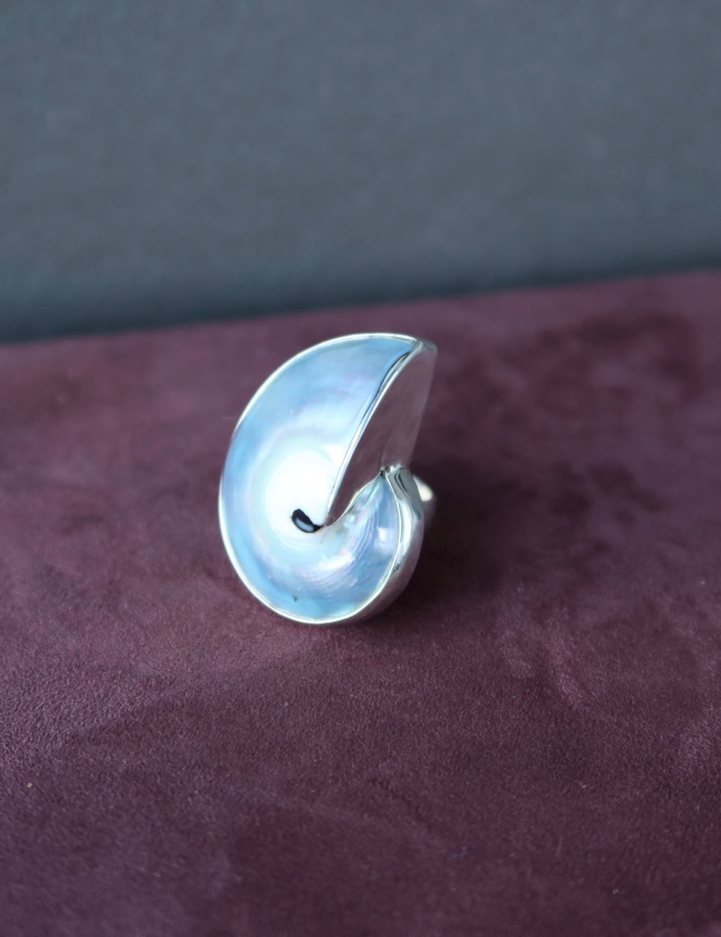 Nautilus Shell Ring