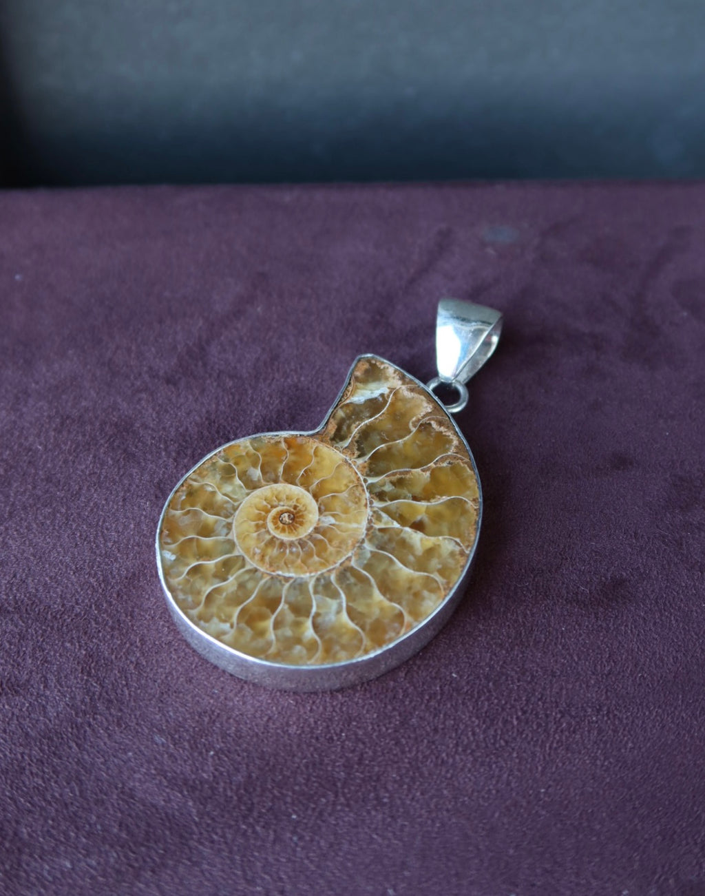 Ammonite Pendant Charles Albert