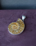 Ammonite Pendant Charles Albert