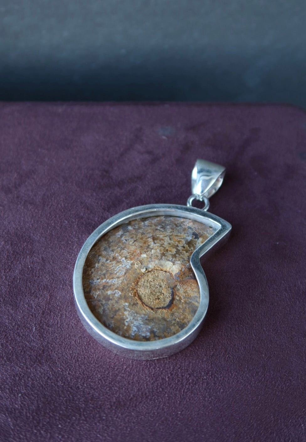 Ammonite Pendant Charles Albert