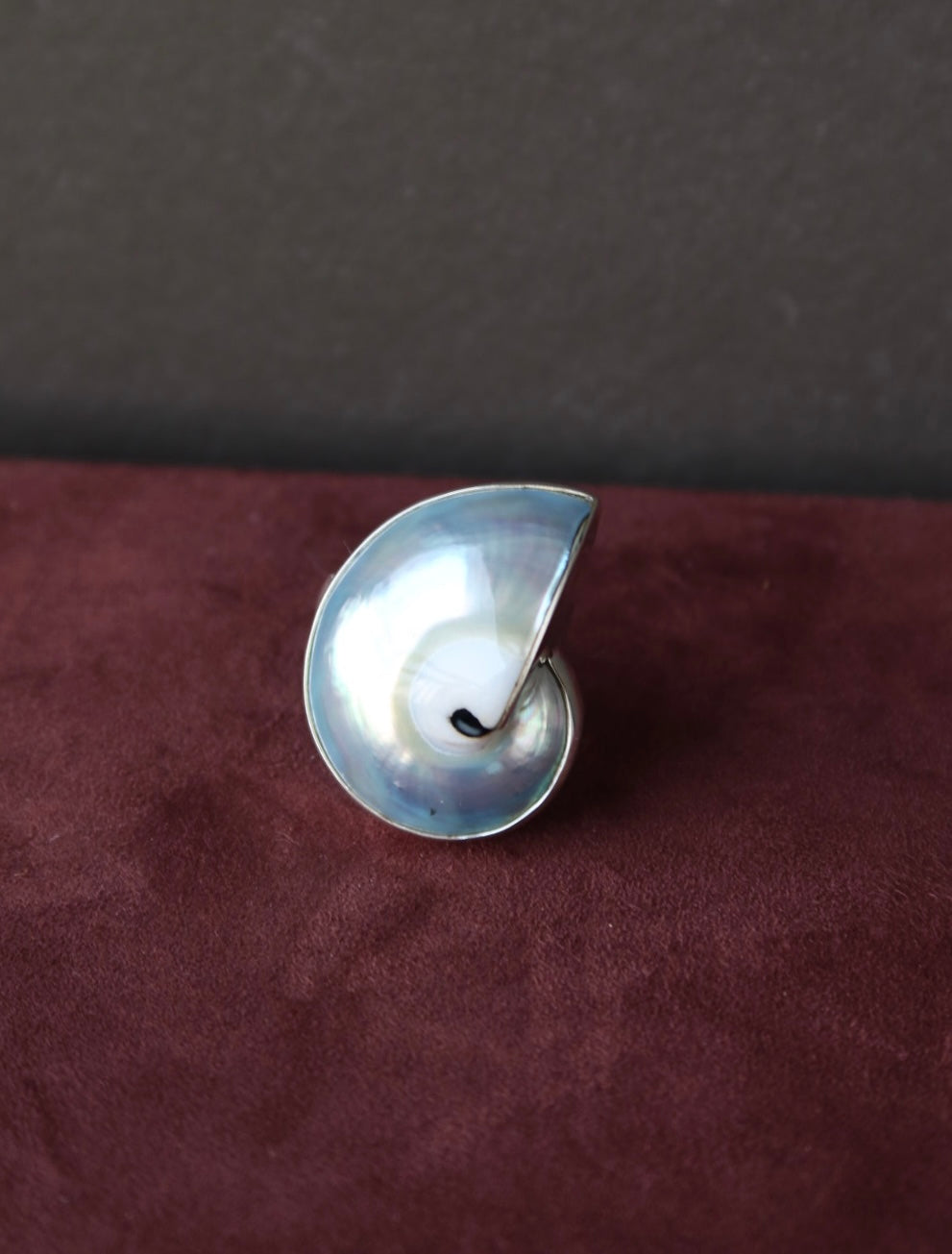 Nautilus Shell Ring