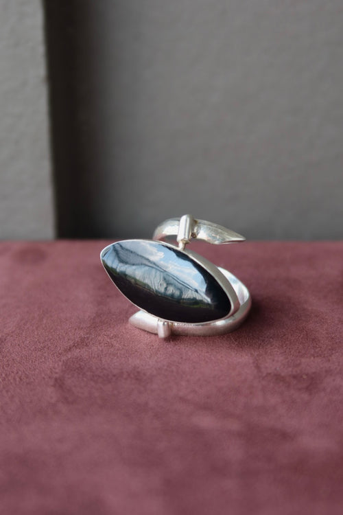 Abalone & Onyx Flip Sterling Ring